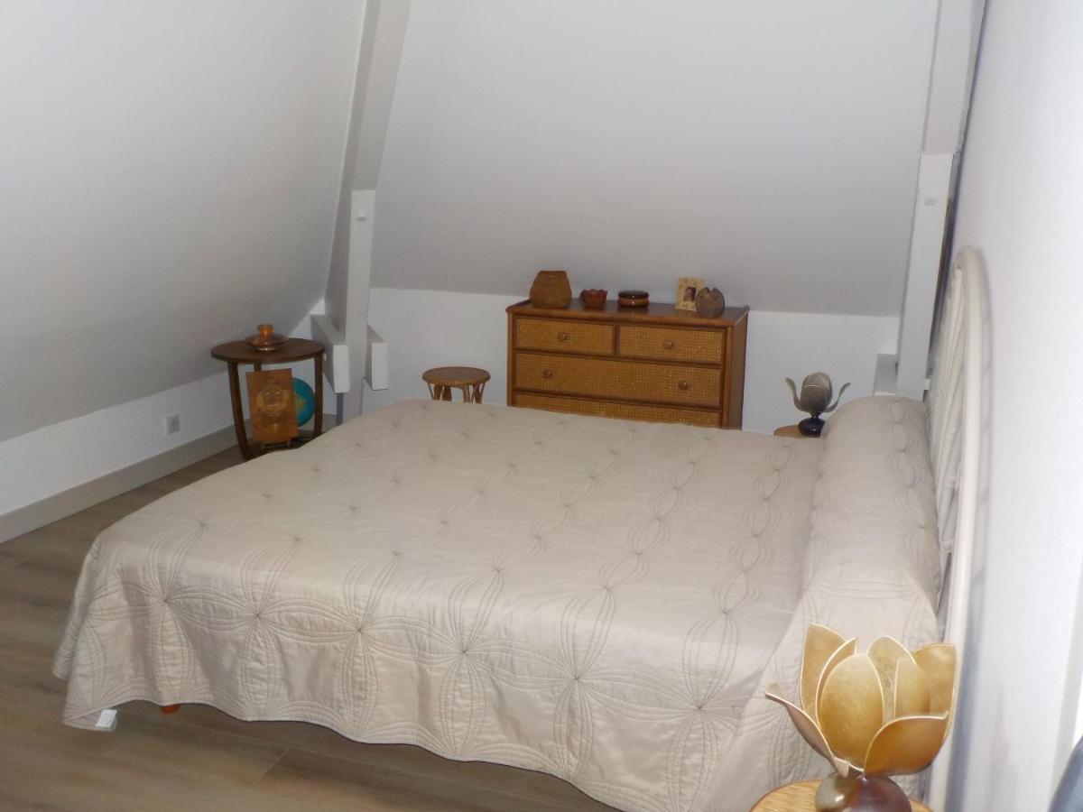 Charmant Appartement Dans Maison De Caractere Saint-Brice-sur-Vienne 외부 사진